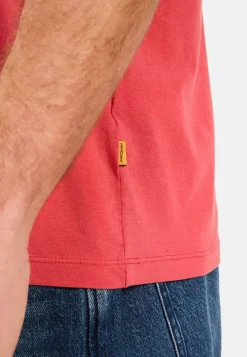 Basic T-Shirt aus reiner Baumwolle