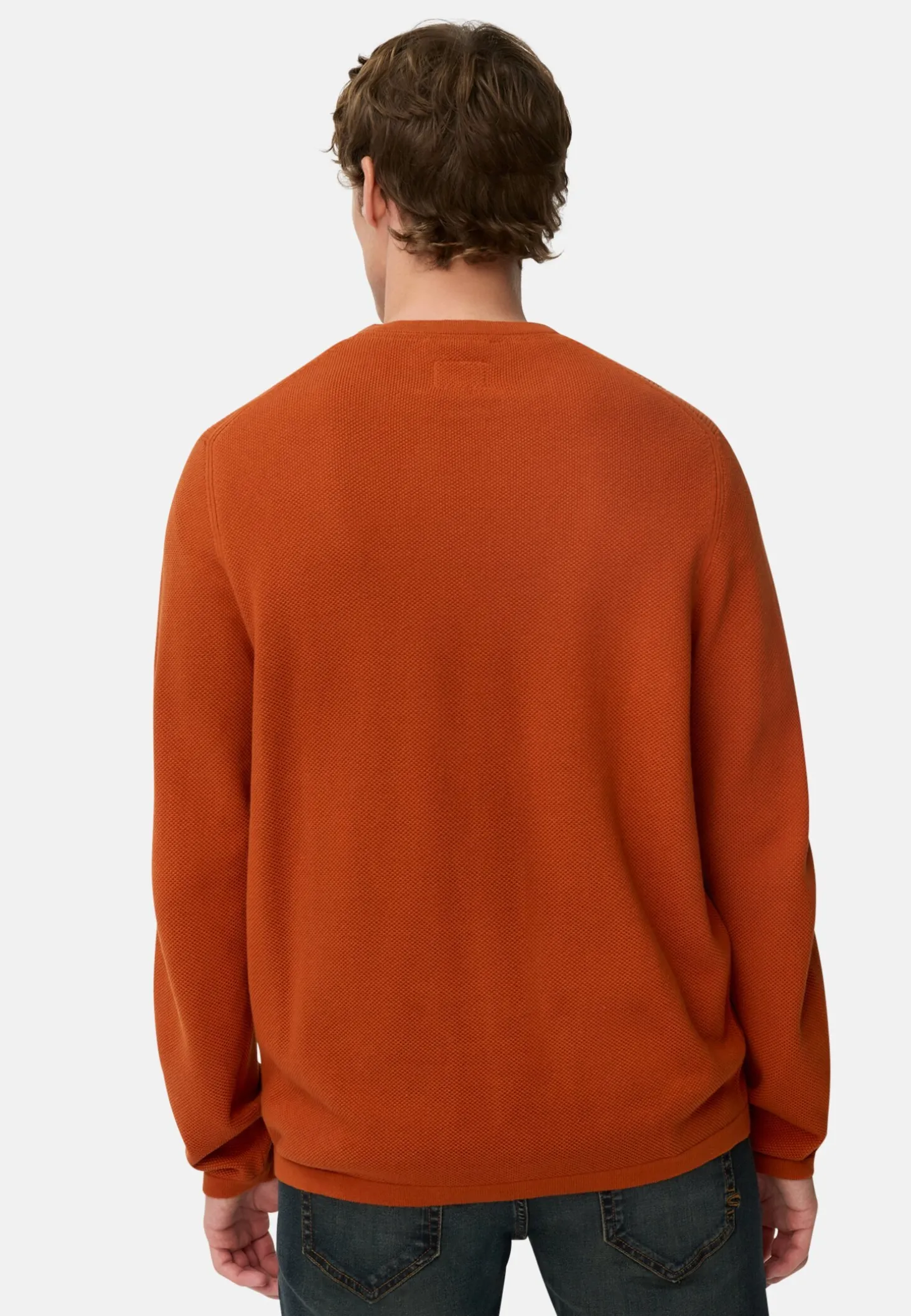 Pullover aus reiner Baumwolle