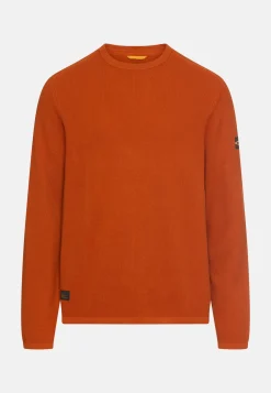 Pullover aus reiner Baumwolle