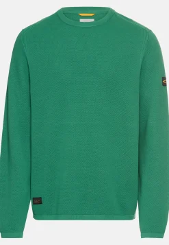 Pullover aus reiner Baumwolle
