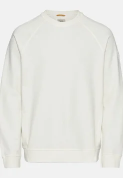Sweatshirt aus reiner Baumwolle